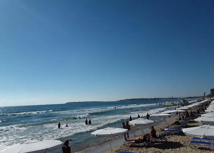 Chateau Del Mar C31a Sunny * 써니비치